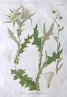  no thumbnail available