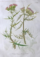  no thumbnail available