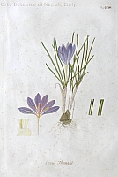  no thumbnail available