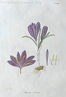  no thumbnail available