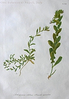  no thumbnail available