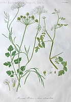  no thumbnail available