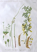  no thumbnail available