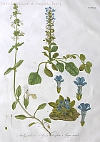  no thumbnail available