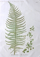  no thumbnail available