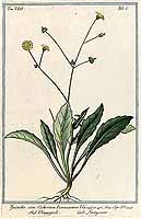  no thumbnail available