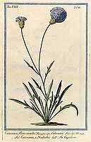  no thumbnail available