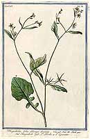  no thumbnail available