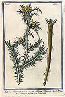  no thumbnail available