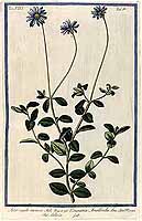  no thumbnail available