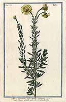  no thumbnail available