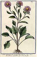  no thumbnail available