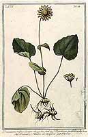  no thumbnail available