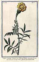  no thumbnail available