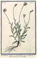  no thumbnail available