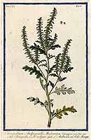  no thumbnail available