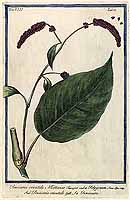  no thumbnail available