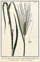  no thumbnail available