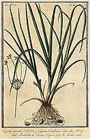  no thumbnail available