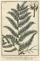  no thumbnail available