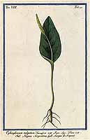  no thumbnail available