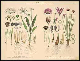  no thumbnail available