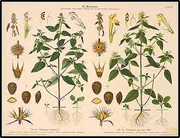  no thumbnail available