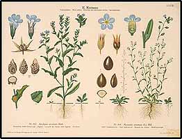  no thumbnail available