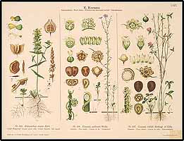  no thumbnail available