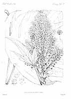  no thumbnail available