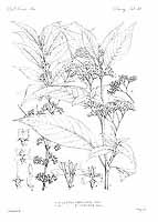  no thumbnail available