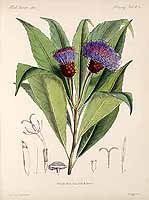  no thumbnail available