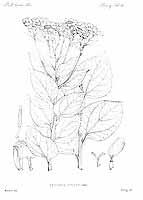  no thumbnail available