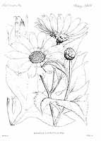  no thumbnail available