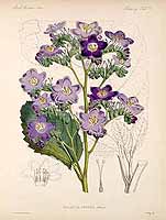  no thumbnail available