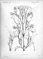  no thumbnail available