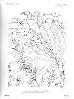  no thumbnail available