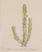  no thumbnail available