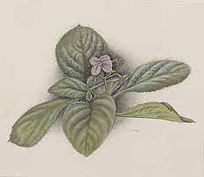  no thumbnail available