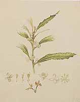  no thumbnail available