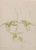  no thumbnail available