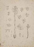  no thumbnail available