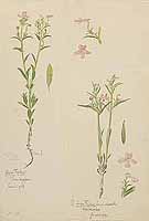  no thumbnail available