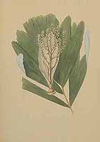  no thumbnail available