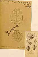  no thumbnail available