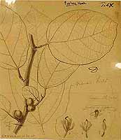  no thumbnail available