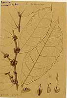  no thumbnail available