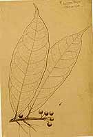  no thumbnail available