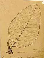  no thumbnail available