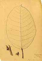  no thumbnail available